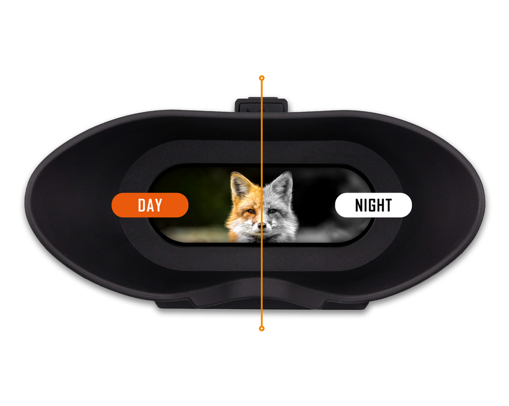 Nightfox night 2025 vision goggles